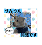 ペキチワぶんた1（個別スタンプ：15）