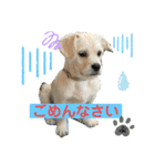 ペキチワぶんた1（個別スタンプ：20）