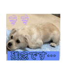 ペキチワぶんた1（個別スタンプ：22）