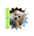 ペキチワぶんた1（個別スタンプ：25）