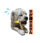 ペキチワぶんた1（個別スタンプ：26）