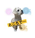 ペキチワぶんた1（個別スタンプ：27）