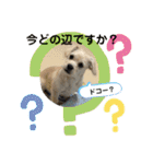 ペキチワぶんた1（個別スタンプ：28）