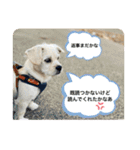 ペキチワぶんた1（個別スタンプ：30）