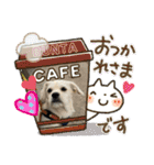 ペキチワぶんた1（個別スタンプ：31）