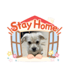 ペキチワぶんた1（個別スタンプ：32）