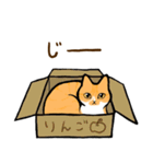 ねこすたんぷ。【むぎ】（個別スタンプ：2）