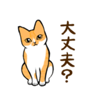 ねこすたんぷ。【むぎ】（個別スタンプ：6）