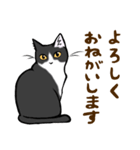 ねこすたんぷ。【ごま】（個別スタンプ：2）