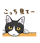 ねこすたんぷ。【ごま】（個別スタンプ：14）