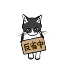 ねこすたんぷ。【ごま】（個別スタンプ：22）