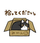 ねこすたんぷ。【ごま】（個別スタンプ：33）