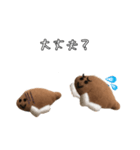 かれいくんだよ（個別スタンプ：2）