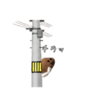 かれいくんだよ（個別スタンプ：5）