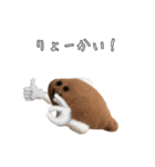 かれいくんだよ（個別スタンプ：8）