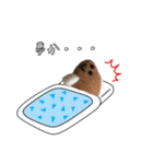 かれいくんだよ（個別スタンプ：10）