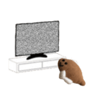 かれいくんだよ（個別スタンプ：13）