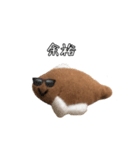 かれいくんだよ（個別スタンプ：14）