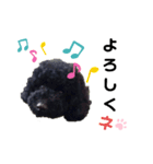 黒トイプードルの会話（個別スタンプ：5）