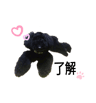 黒トイプードルの会話（個別スタンプ：7）