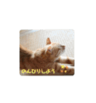 Masaと愉快な仲間たち+㌁（個別スタンプ：3）