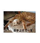 Masaと愉快な仲間たち+㌁（個別スタンプ：6）