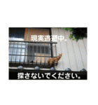 Masaと愉快な仲間たち+㌁（個別スタンプ：7）