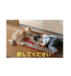 Masaと愉快な仲間たち+㌁（個別スタンプ：10）