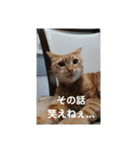 Masaと愉快な仲間たち+㌁（個別スタンプ：11）