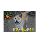 Masaと愉快な仲間たち+㌁（個別スタンプ：16）