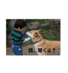 Masaと愉快な仲間たち+㌁（個別スタンプ：21）