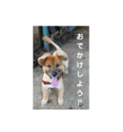 Masaと愉快な仲間たち+㌁（個別スタンプ：22）