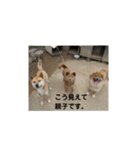 Masaと愉快な仲間たち+㌁（個別スタンプ：26）
