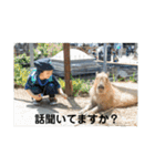 Masaと愉快な仲間たち+㌁（個別スタンプ：31）