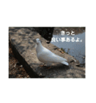 Masaと愉快な仲間たち+㌁（個別スタンプ：32）
