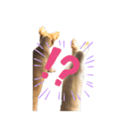 趣味。（個別スタンプ：1）