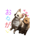趣味。（個別スタンプ：3）
