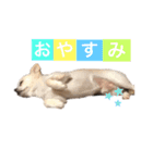 趣味。（個別スタンプ：5）