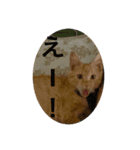 こねスタ5（個別スタンプ：1）