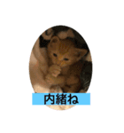 こねスタ5（個別スタンプ：2）