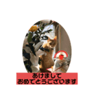 こねスタ5（個別スタンプ：3）