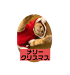 こねスタ5（個別スタンプ：4）