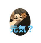 こねスタ5（個別スタンプ：5）