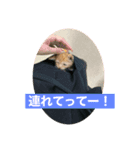 こねスタ5（個別スタンプ：6）