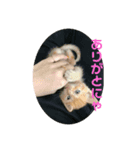 こねスタ5（個別スタンプ：8）