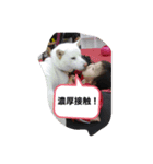 北野スタンプ（個別スタンプ：6）