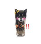 黒柴 リラ（個別スタンプ：14）