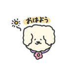 ふわモコのふわふわ日常生活（個別スタンプ：24）