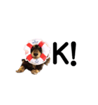 ダックス犬める2（個別スタンプ：2）