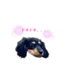 ダックス犬める2（個別スタンプ：14）